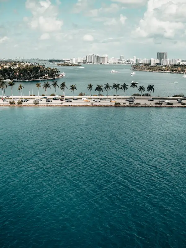 People on beach during daytime